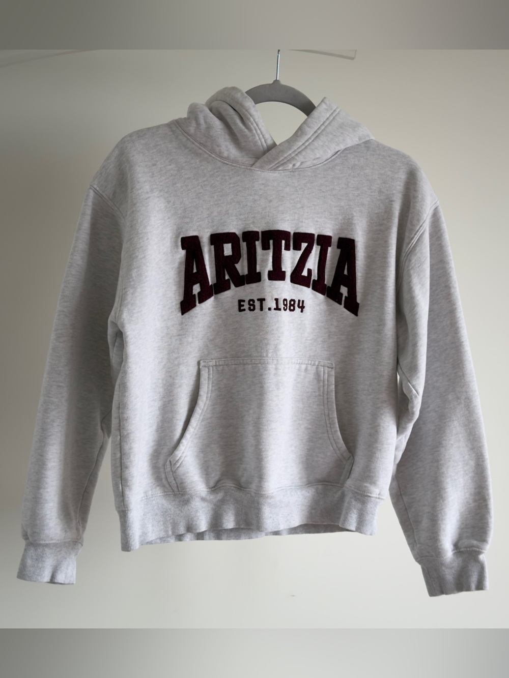 Aritzia
Cozy Sweatfleece Perfect Hoodie